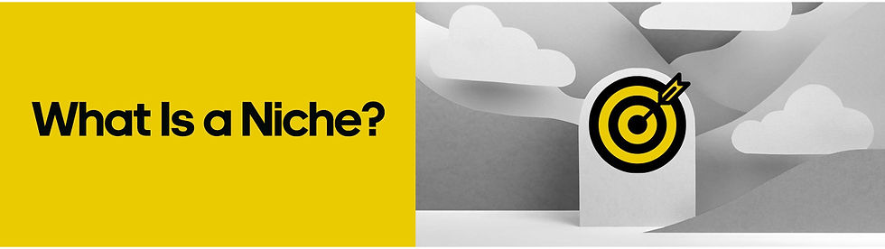 What Is a Niche?