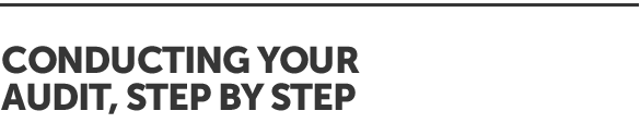 Conducting Your Audit, Step By Step